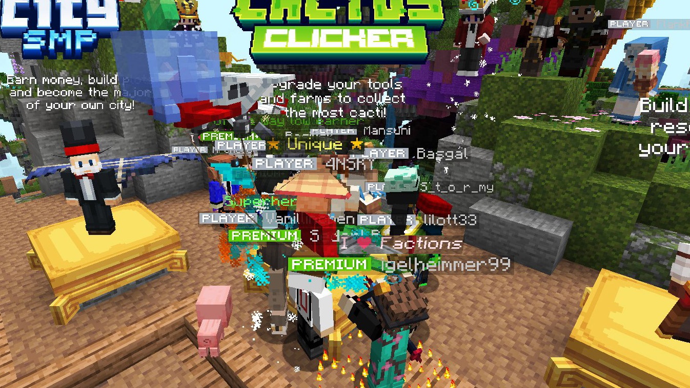 Players on our Server